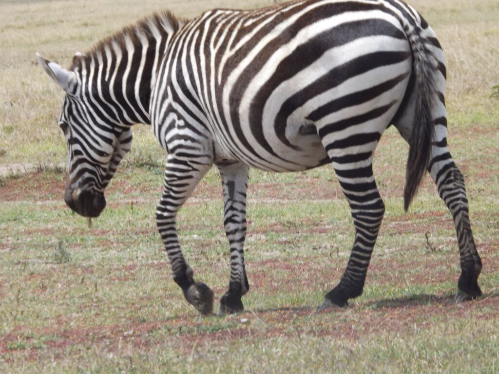 11ed86fa-6686-4f38-8ae4-3b0df0a56277