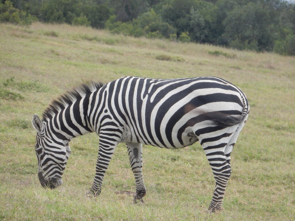 0f361669-685a-4a6b-b040-f385028fa88d