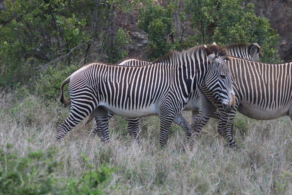 c906051f-92eb-4bdb-b9d1-269d7b834728