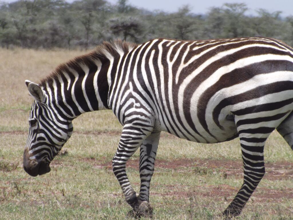 11ed86fa-6686-4f38-8ae4-3b0df0a56277