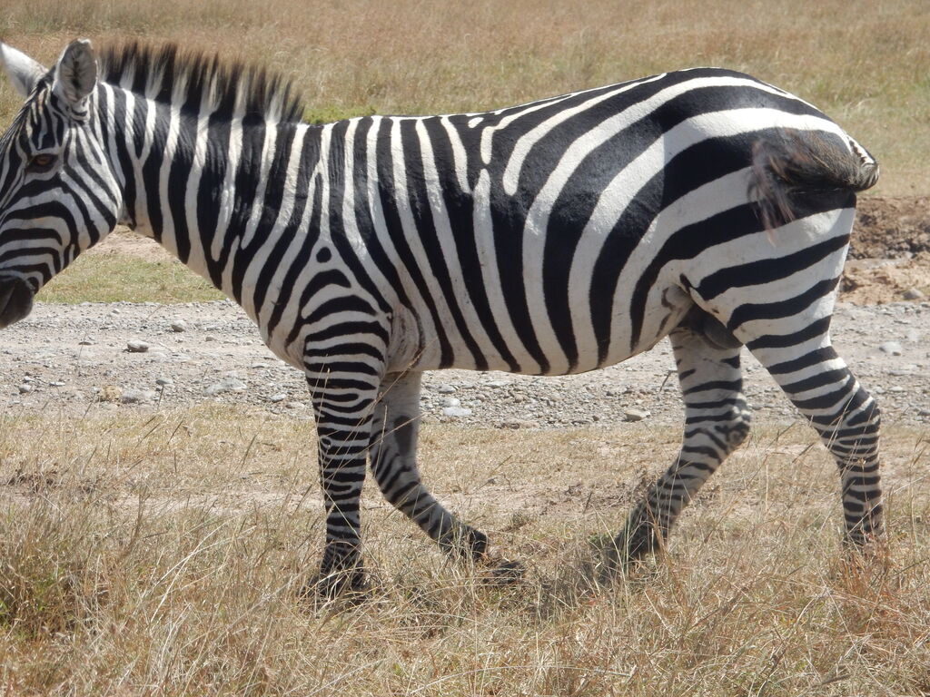 0f361669-685a-4a6b-b040-f385028fa88d