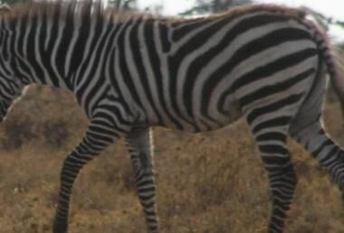 87b0a24c-adb8-4466-89ea-230aa48240a4