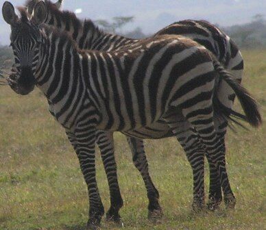 d1257c87-064e-4405-acb0-f0f5106e4ab4