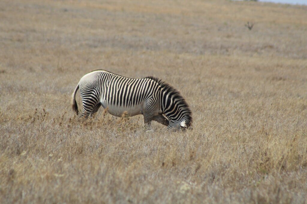 3600e32c-f888-442b-b8e7-da72342956f1