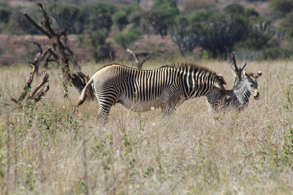 3600e32c-f888-442b-b8e7-da72342956f1