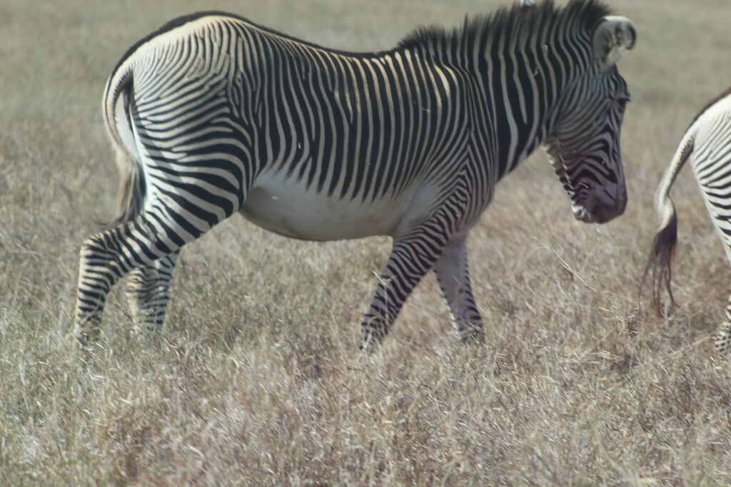 582c4b70-46fe-4adf-ade9-8ca976731f3d