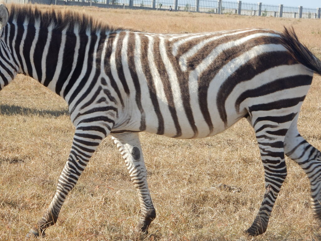 7b44a265-dc5a-4f60-aabc-00b1c0531eaf