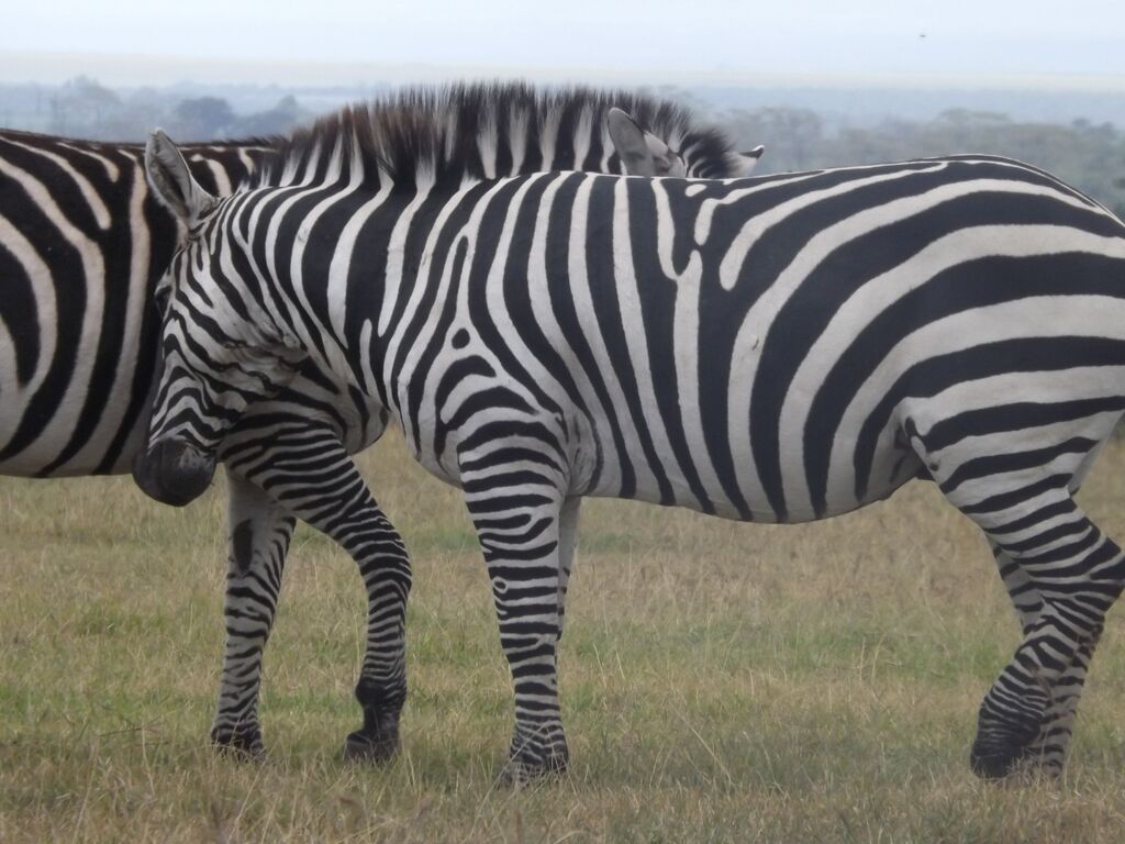 0f361669-685a-4a6b-b040-f385028fa88d