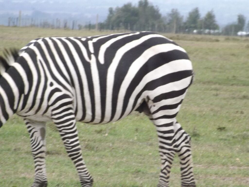 0f361669-685a-4a6b-b040-f385028fa88d