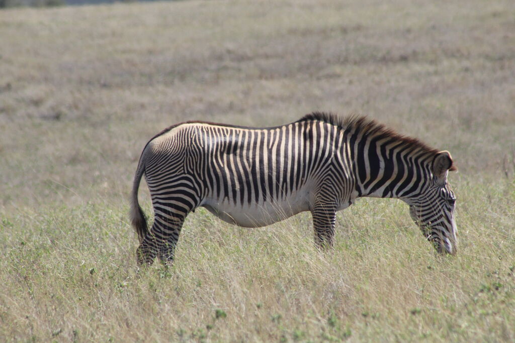 3600e32c-f888-442b-b8e7-da72342956f1