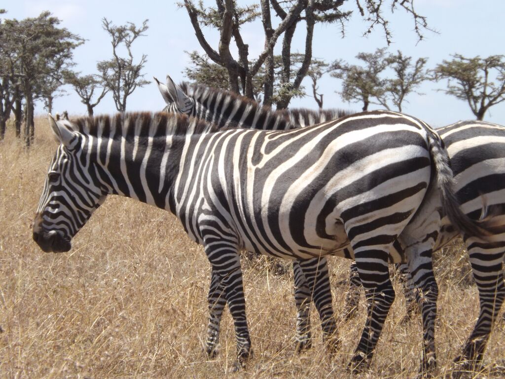 87b0a24c-adb8-4466-89ea-230aa48240a4