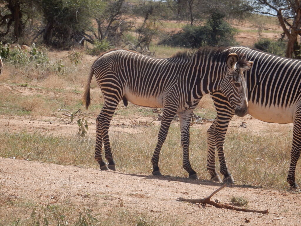 f41f9a26-e43d-4e9b-950d-0291786c2e98