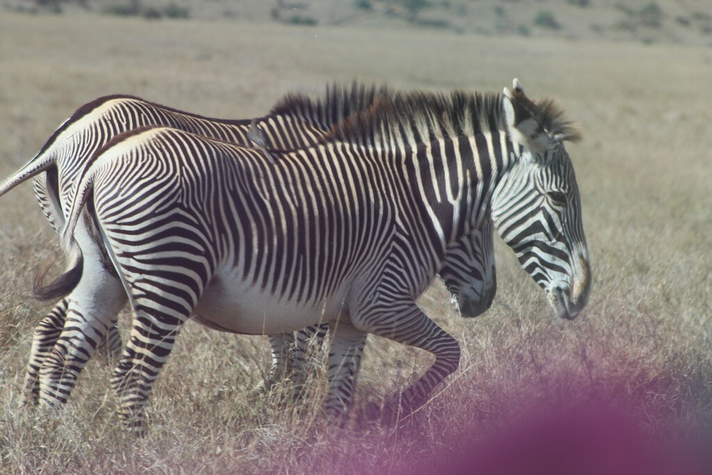 c906051f-92eb-4bdb-b9d1-269d7b834728