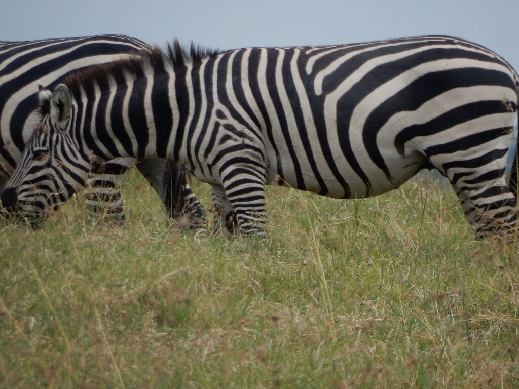 7b44a265-dc5a-4f60-aabc-00b1c0531eaf