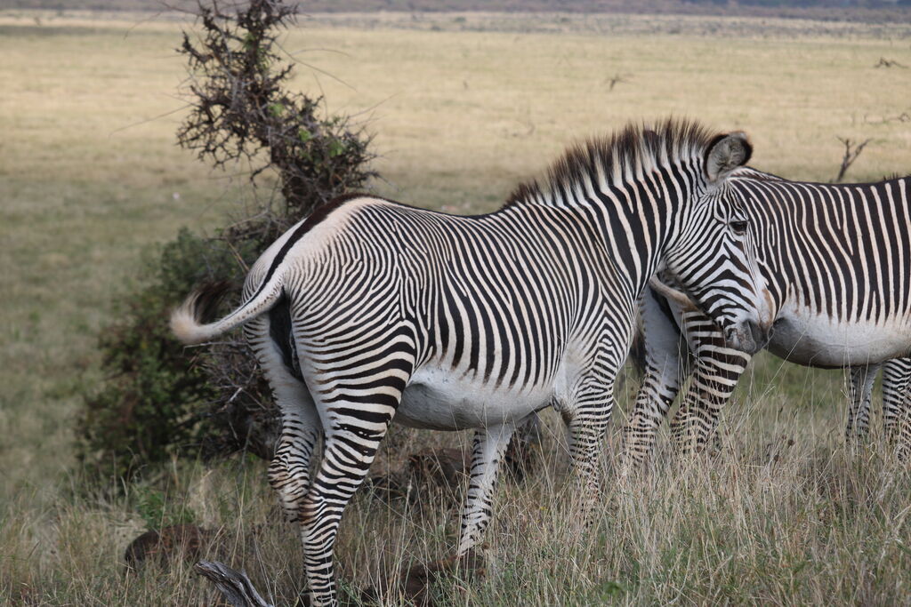 3600e32c-f888-442b-b8e7-da72342956f1