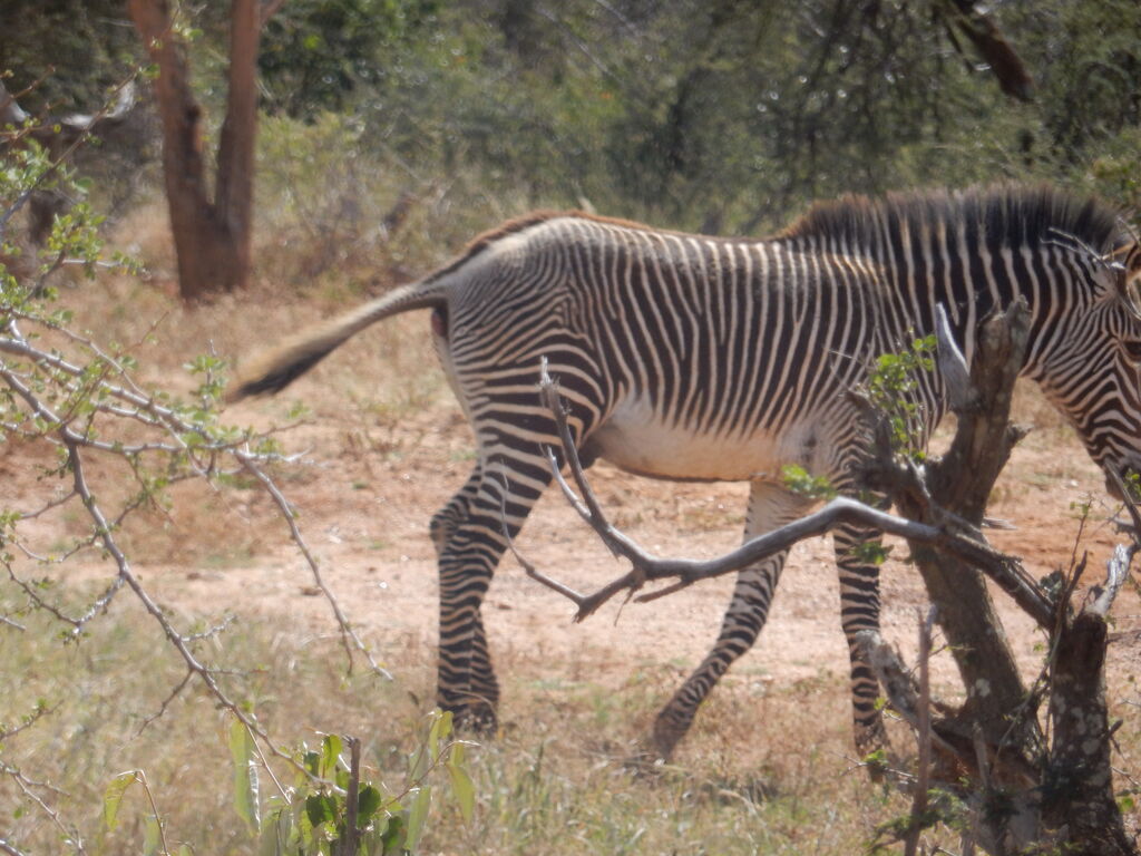 f41f9a26-e43d-4e9b-950d-0291786c2e98