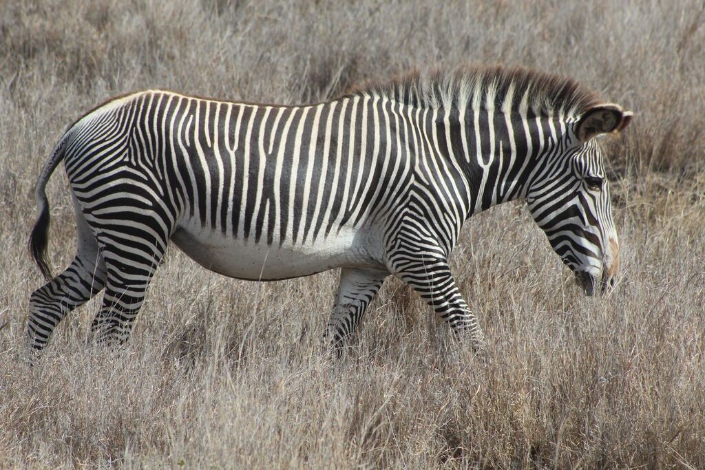 c906051f-92eb-4bdb-b9d1-269d7b834728