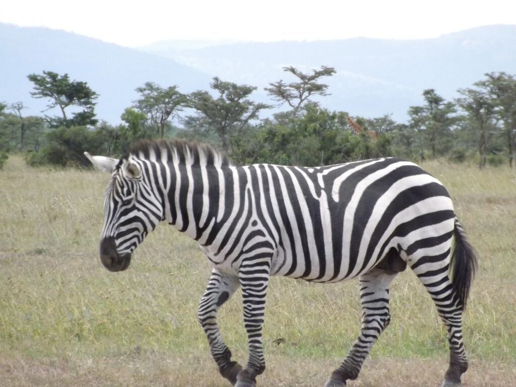 0f361669-685a-4a6b-b040-f385028fa88d