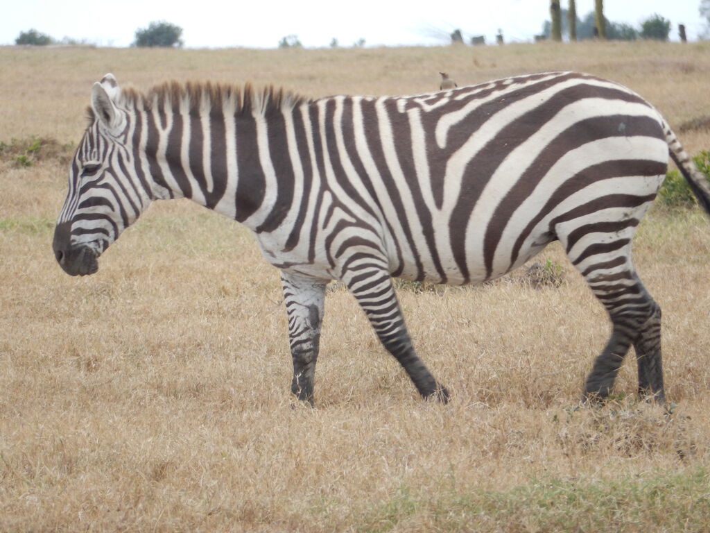 3faf5183-b770-40a0-b00b-d33ff6d850cb