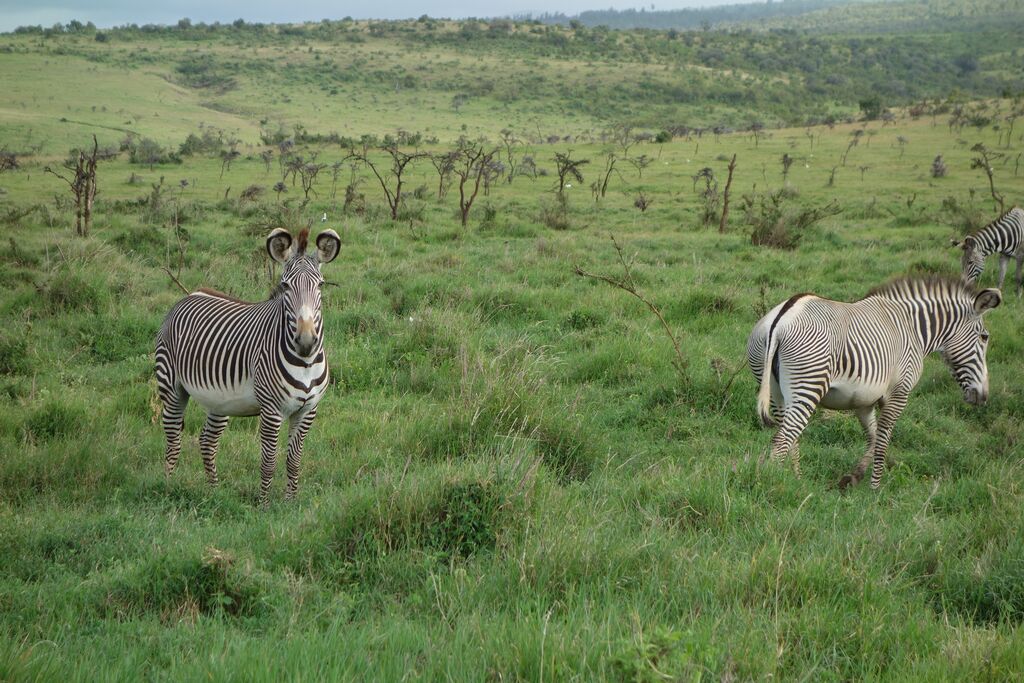 3600e32c-f888-442b-b8e7-da72342956f1