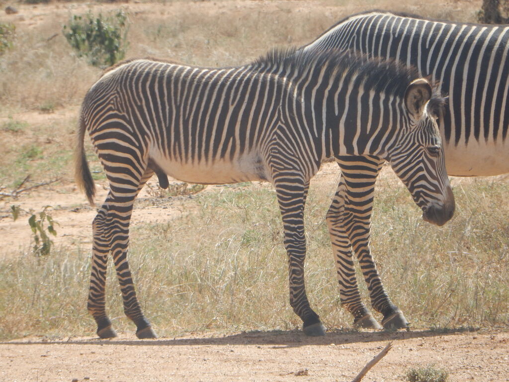 f41f9a26-e43d-4e9b-950d-0291786c2e98