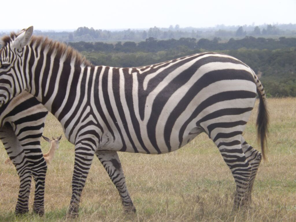 3faf5183-b770-40a0-b00b-d33ff6d850cb