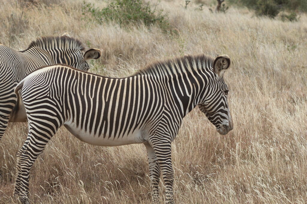 c906051f-92eb-4bdb-b9d1-269d7b834728