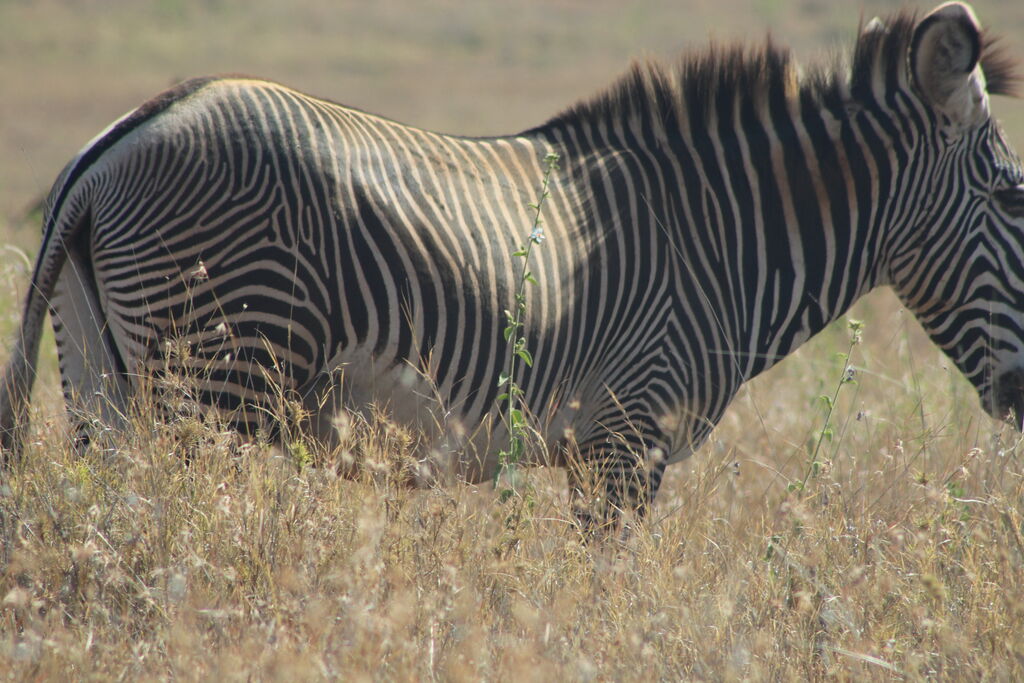 3380dec1-b650-4e71-9161-9943f26f2c01