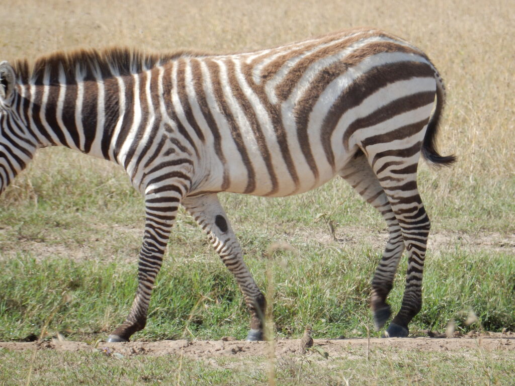 2ca5b0e3-9968-4be5-a956-a45d039bdc4c