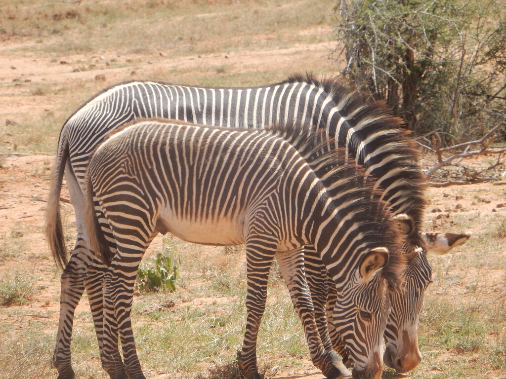 f41f9a26-e43d-4e9b-950d-0291786c2e98