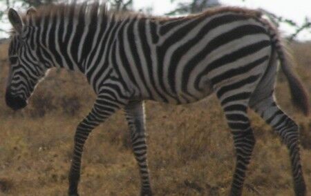 87b0a24c-adb8-4466-89ea-230aa48240a4