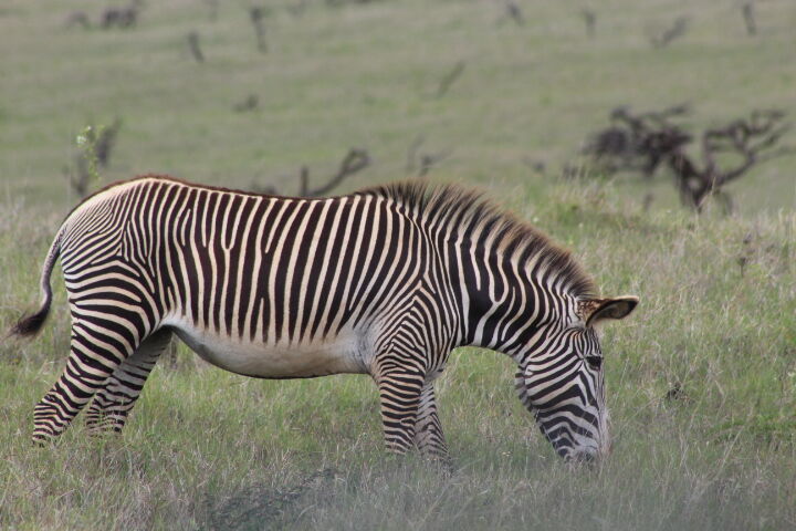 c906051f-92eb-4bdb-b9d1-269d7b834728