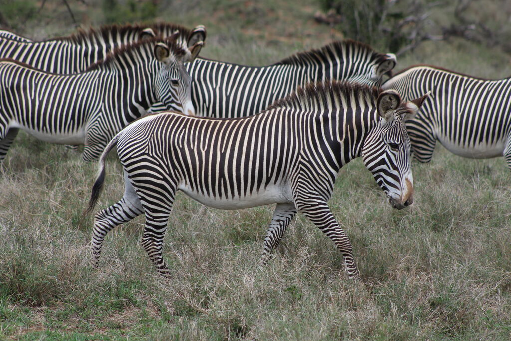 c906051f-92eb-4bdb-b9d1-269d7b834728