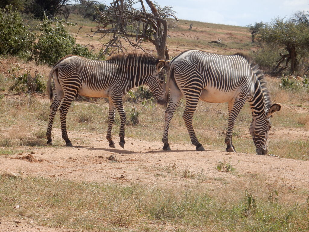 f41f9a26-e43d-4e9b-950d-0291786c2e98