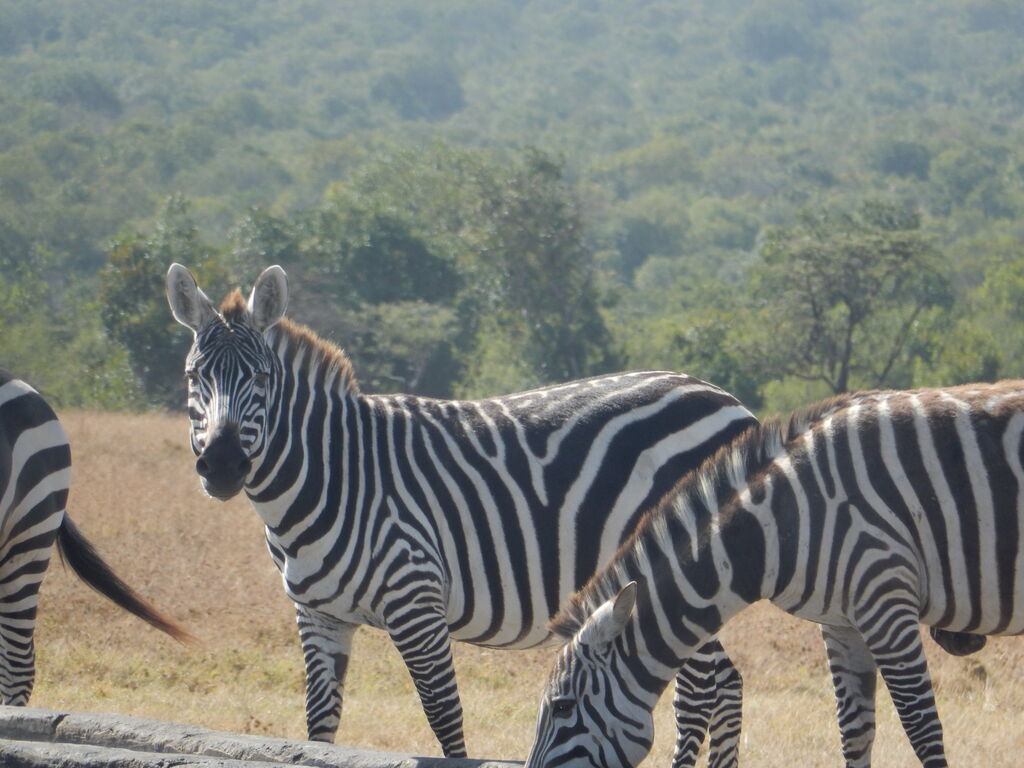 11ed86fa-6686-4f38-8ae4-3b0df0a56277