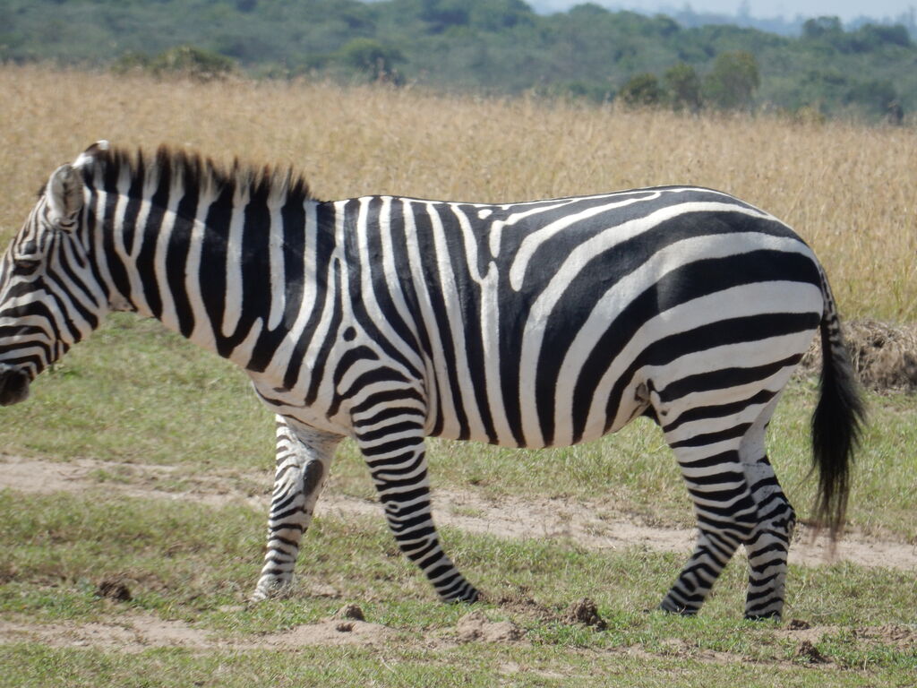 0f361669-685a-4a6b-b040-f385028fa88d