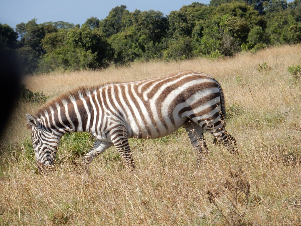 7b44a265-dc5a-4f60-aabc-00b1c0531eaf